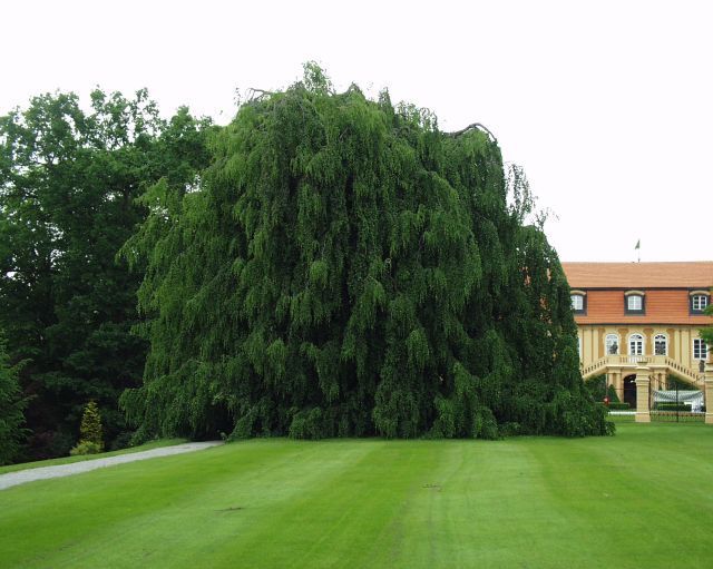 Golfové hřiště